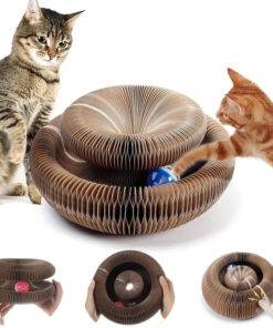 Magic Cat Scratching Organ Board with Ball & Claw Grinder Toy