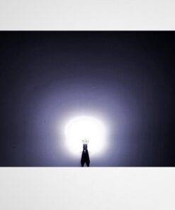 T10 Canbus LED park light bulb 2835 SMD 152lm High Lumen Super Bright