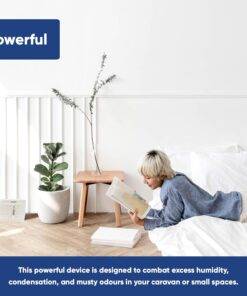 Wardrobe Car Rechargeable Portable Dehumidifier Moisture Absorbing Crystals